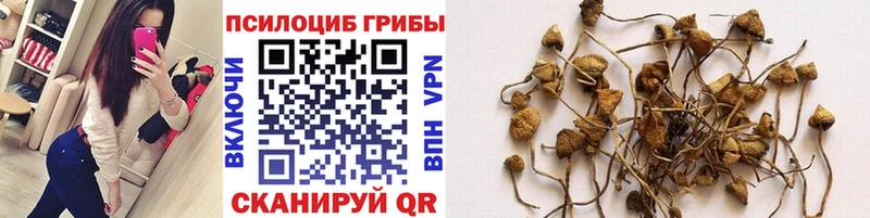 Галлюциногенные грибы ЛСД  Корсаков 