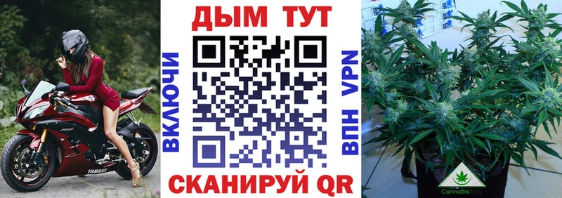 Бошки Шишки конопля  Корсаков 